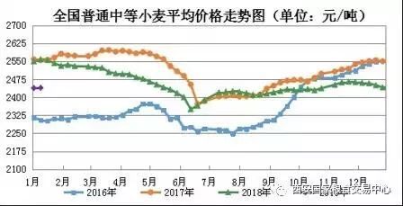 小麦价格最新动态解析