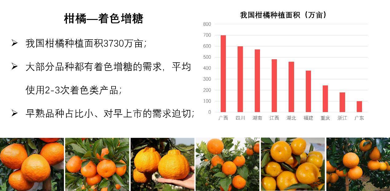 柑桔最新价格动态解析与趋势分析