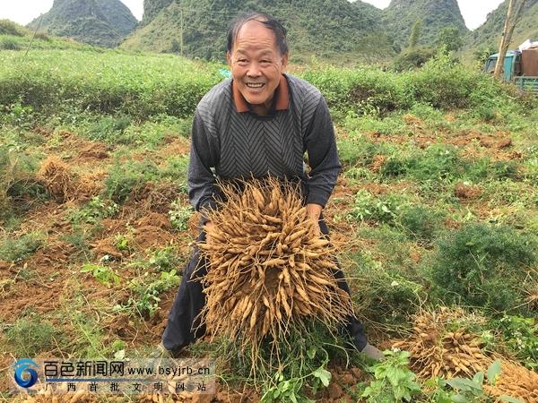 天冬最新价格与市场动态分析摘要