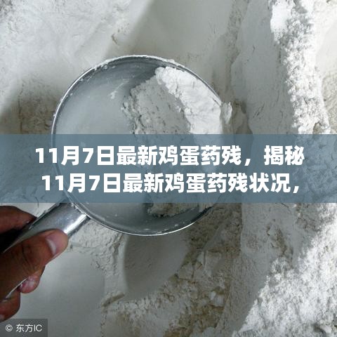 最新鸡蛋药残研究揭秘，影响与应对策略探讨